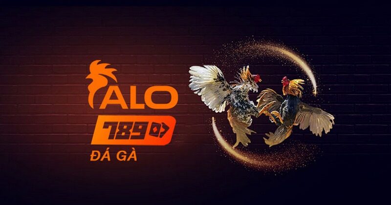 Link vào Alo789.net cập nhật mới nhất hôm nay 1 Link vào Alo789.net truy cập nhà cái Alo789