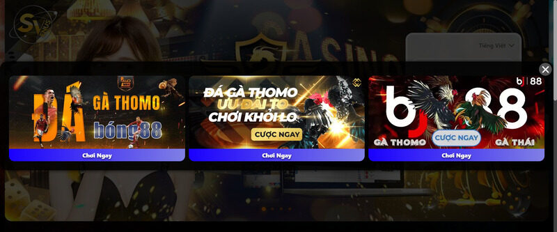 Link vào vsvplay.com - Sân chơi xanh nhất tại thị trường châu Á 4 Thương hiệu nhà cái đáng để trải nghiệm nhất hiện nay